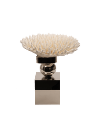 Petri- Coral Reef Table Decoration with Nickel Plate with Ball