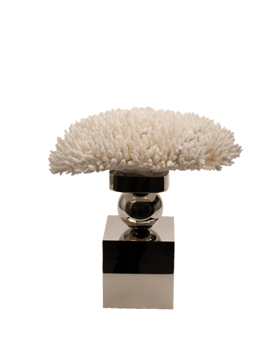 Petri- Coral Reef Table Decoration with Nickel Plate with Ball