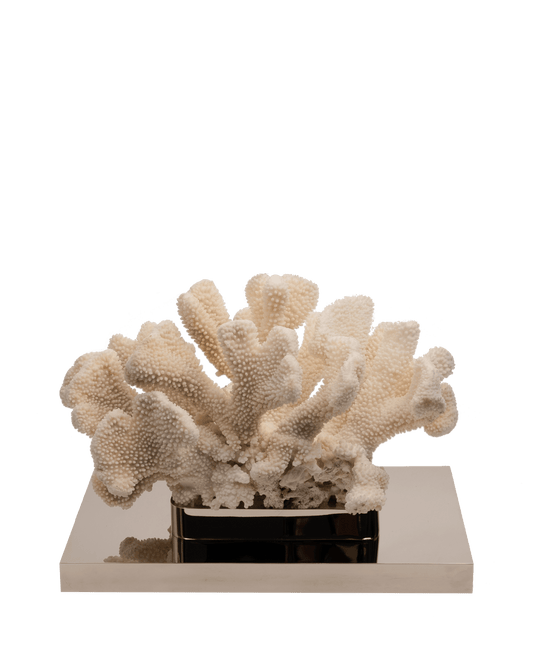 Petri - Coral Reef Table Sculpture on Nickel - Plated Base - Maison SIA