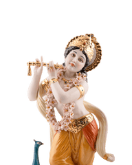 Pigmented Lord Krishna Idol