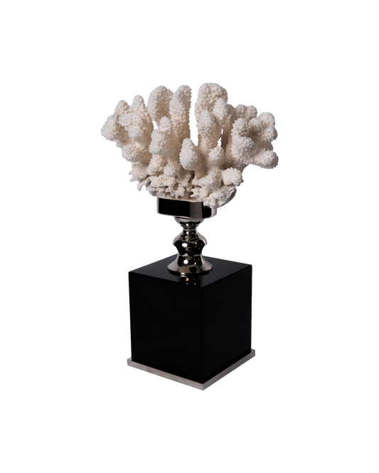 Pocillopora Elegance - Maison SIA