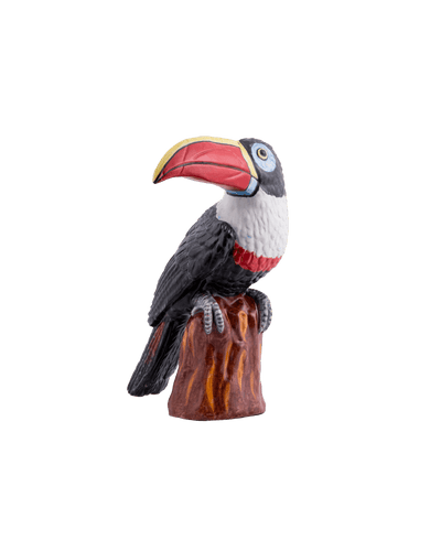 Polychrome Tucan