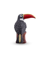 Polychrome Tucan