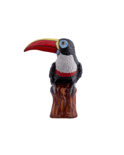 Polychrome Tucan