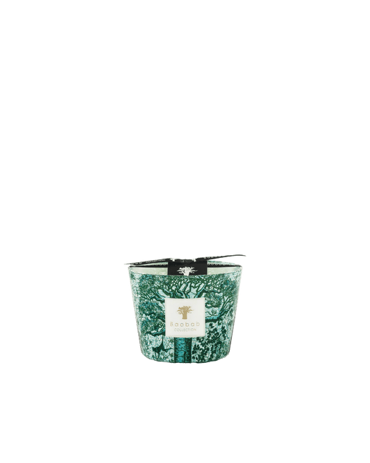 Sacred Trees Kamalo Candle - Maison SIA