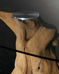 Sequoia