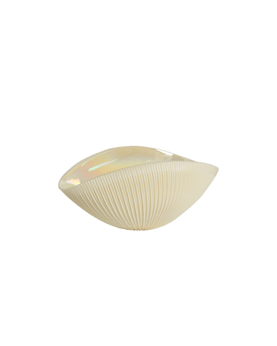 Shell mono small ivory bowl