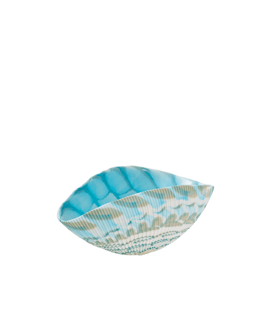 Shell small ivory with turquoise threads bowl - Maison SIA