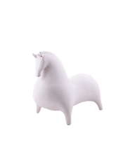 Small Horse In White