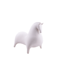 Small Horse In White