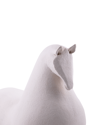 Small Horse In White