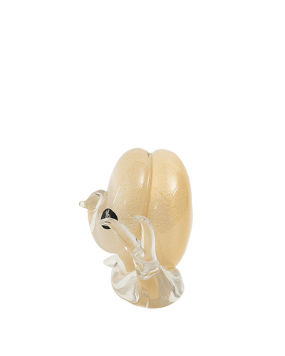 Snail White & Gold Medium