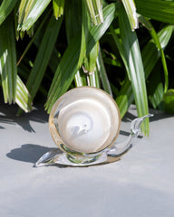 Snail White & Gold Medium