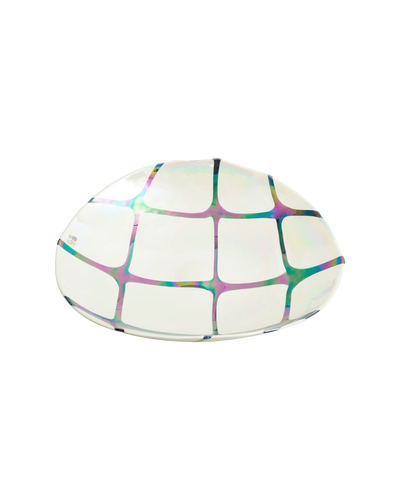 Spider Black Piega Plate Large