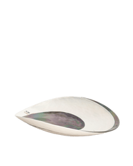 Steel Piega plate with mother of pearl effect