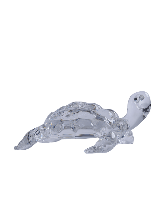 Tortoise small transparent - Maison SIA