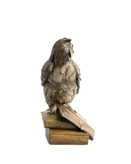 Wise Owl Bookend