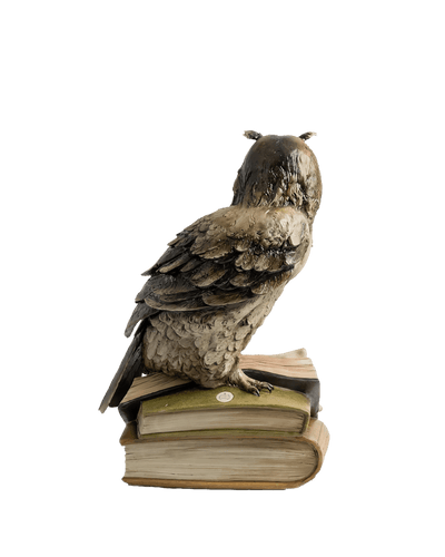 Wise Owl Bookend